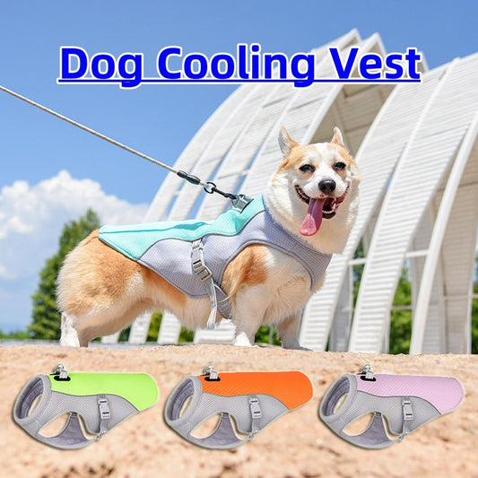 Coolness für deinen Vierbeiner: Sommerhitze? Kein Problem! Der ultimative Hitzeschutz für Hunde mit atmungsaktiver, sonnensicherer Kleidung für coole Outdoor-Spaziergänge!